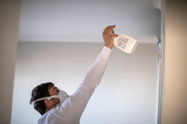 Professional Mold Removal in Four Oaks, NC